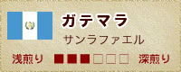 うみぼうずのガテマラ