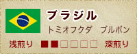 うみぼうずのブラジル