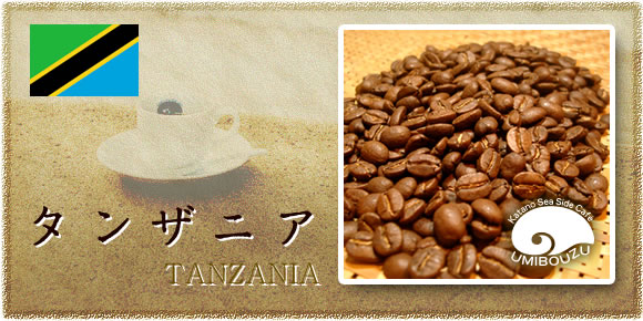うみぼうずのタンザニア