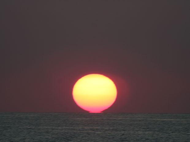 IMG_4752.jpg