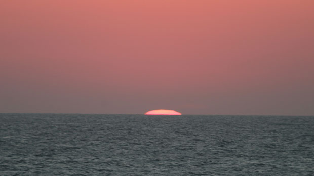 IMG_4993.jpg