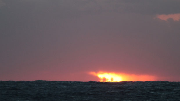 IMG_5039.jpg
