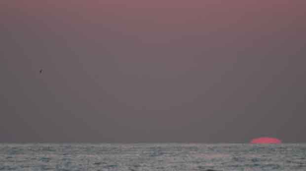 IMG_5373.jpg
