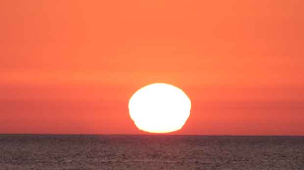 IMG_5423.jpg
