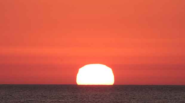 IMG_5430.jpg