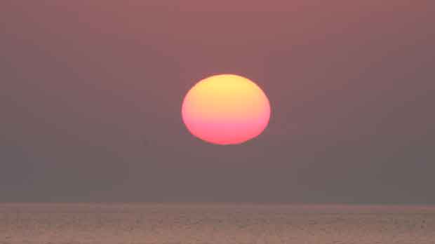 IMG_5447.jpg