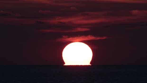 IMG_5556.jpg