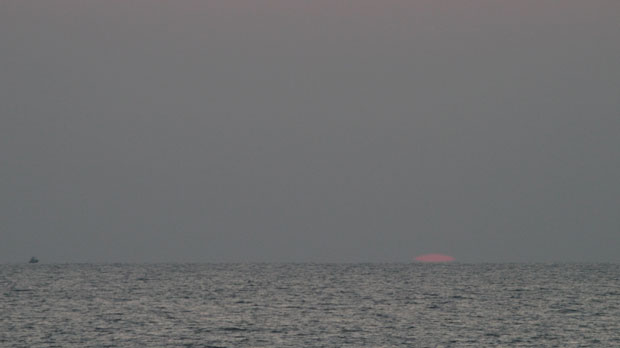 IMG_5577.jpg