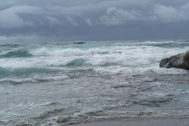 L1000011.jpg