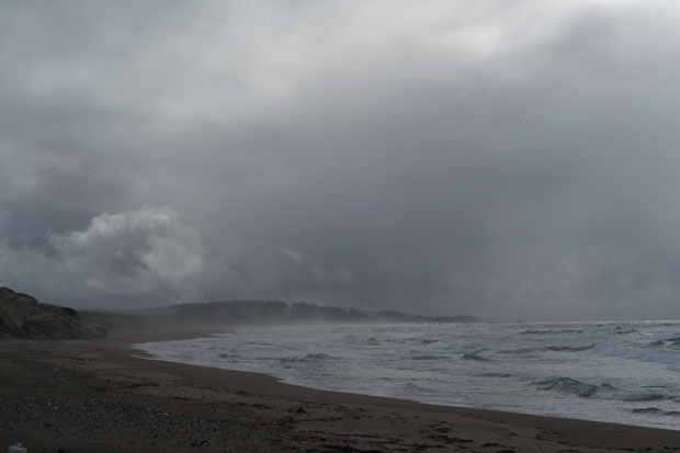 L1000012.jpg