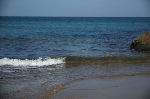 L1000063.jpg
