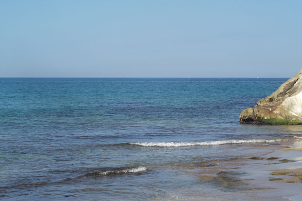 L1000096.jpg