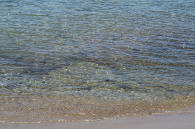 L1000098.jpg