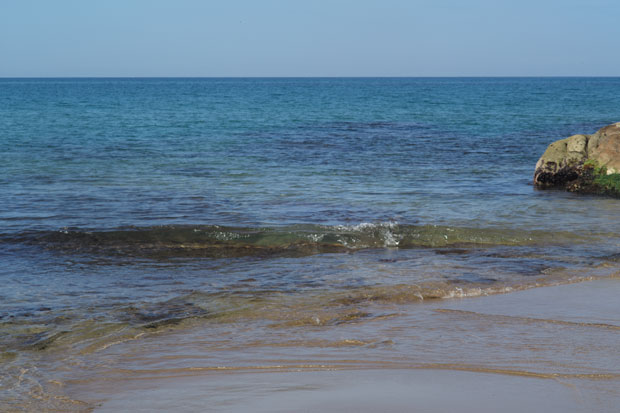 L1000105.jpg