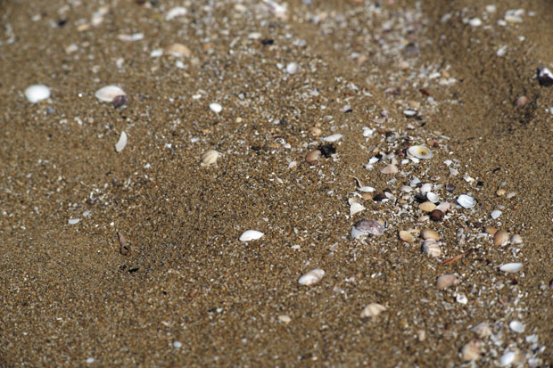 L1000170.jpg