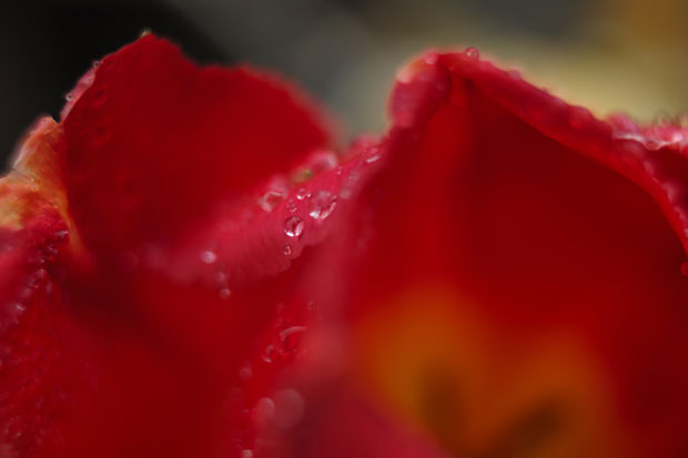 L1000659.jpg