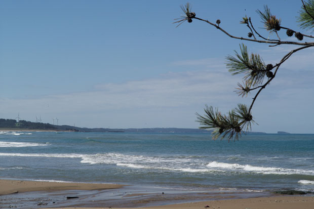 L1000701.jpg