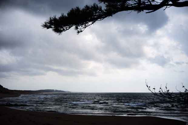 L1000751.jpg