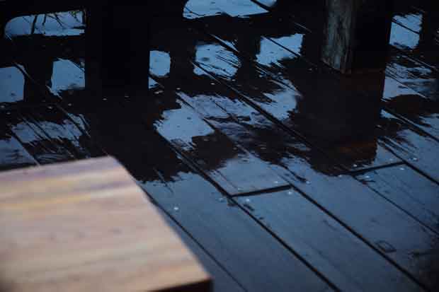 L1000917.jpg