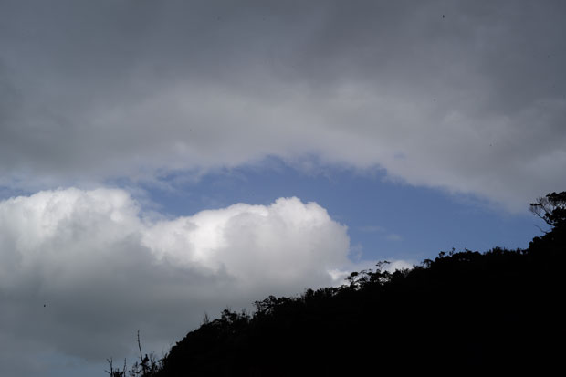 L1001042.jpg