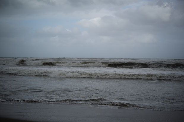 L1001083.jpg