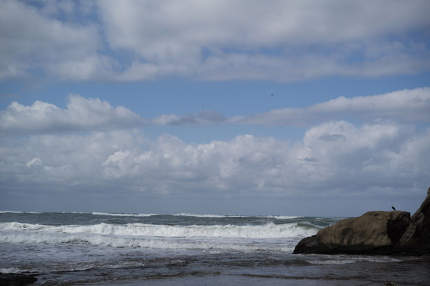 L1001203.jpg