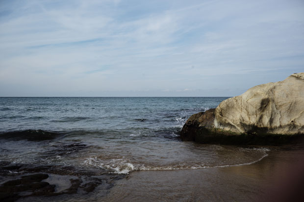 L1001246.jpg