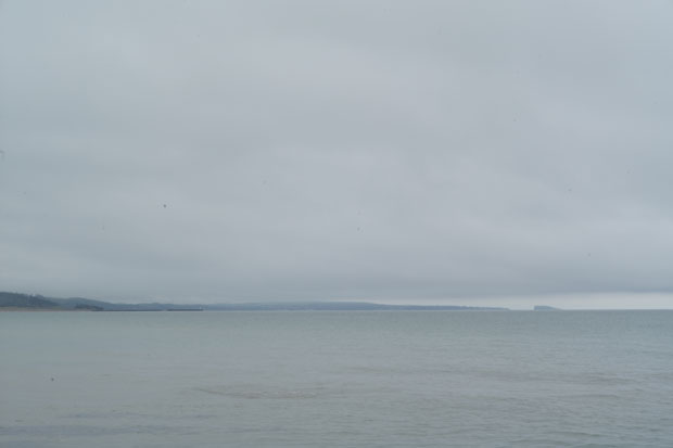 L1001247.jpg