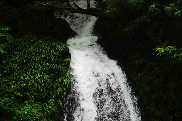 L1001306.jpg