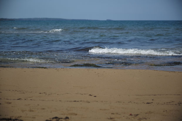 L1001334.jpg