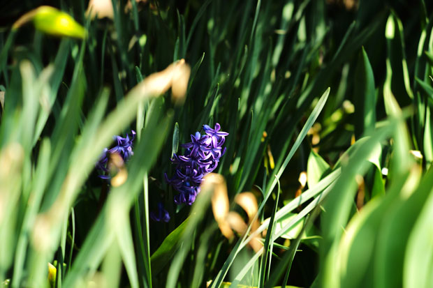 L1001455.jpg