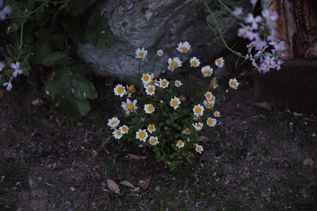 L1001472.jpg