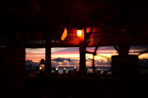 L1001589.jpg