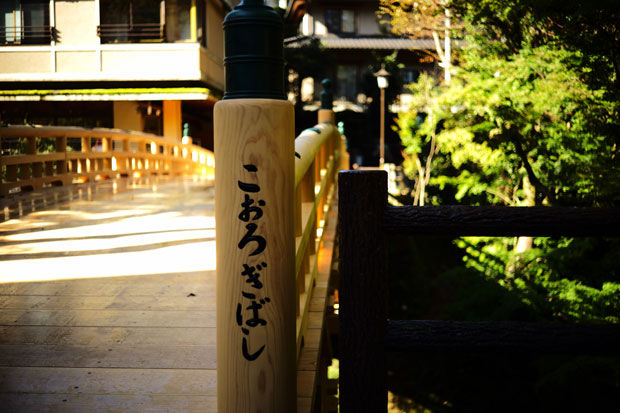 L1001637.jpg