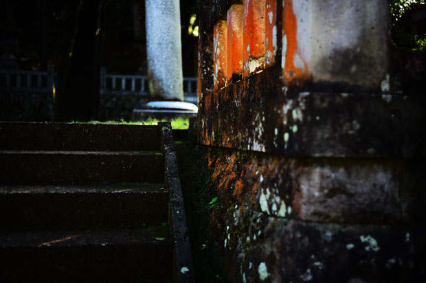 L1001643.jpg