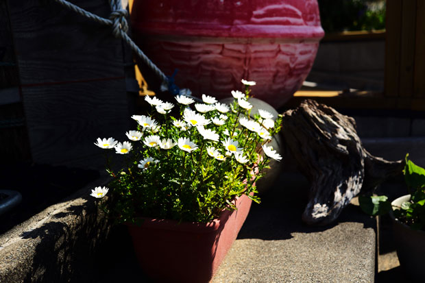 L1001663.jpg