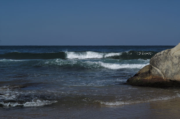 L1001682.jpg