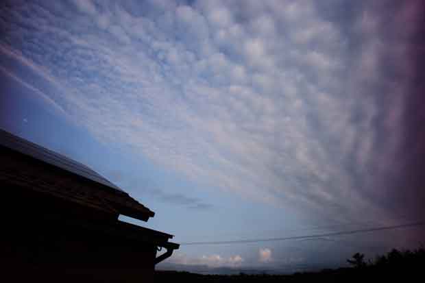 L1001774.jpg