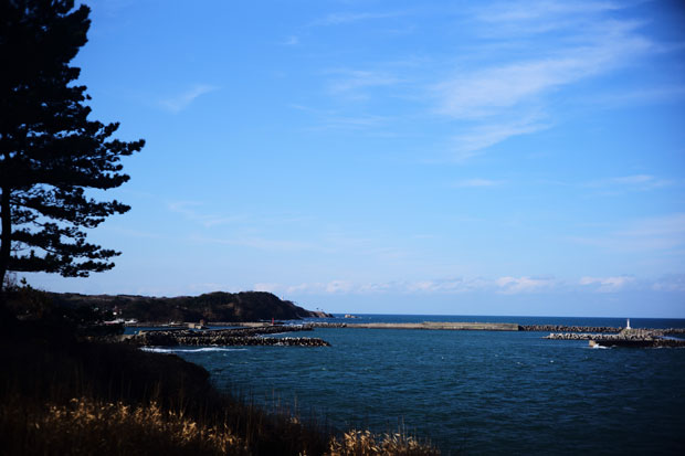 L1001774a.jpg