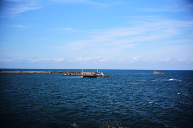 L1001775a.jpg
