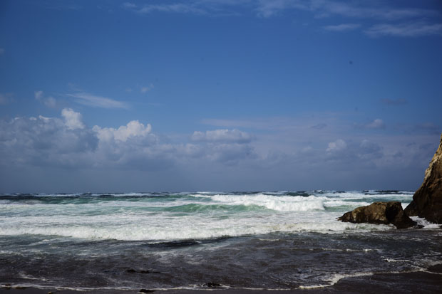 L1001793.jpg