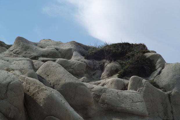 L1002123.jpg