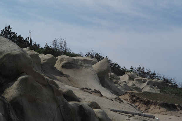 L1002125.jpg