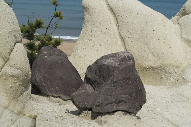 L1002136.jpg