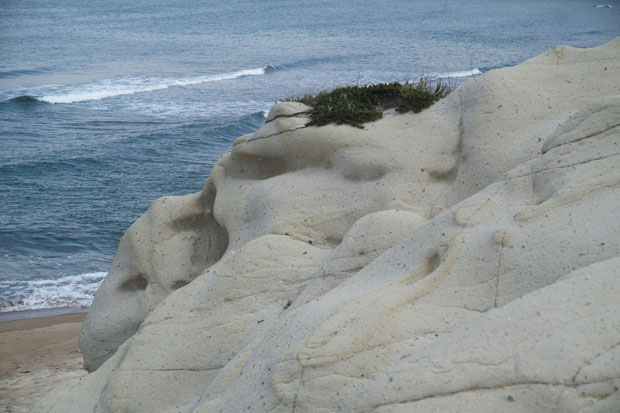 L1002143.jpg