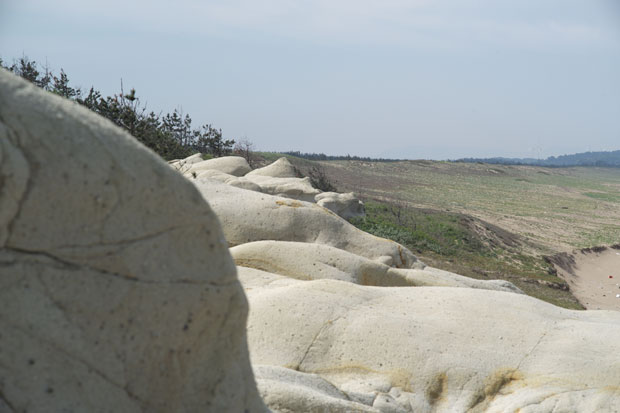 L1002150.jpg