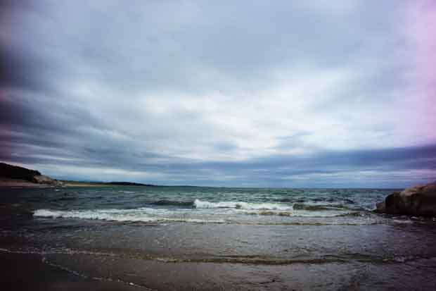 L1002208.jpg