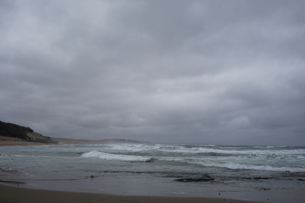 L1002310.jpg