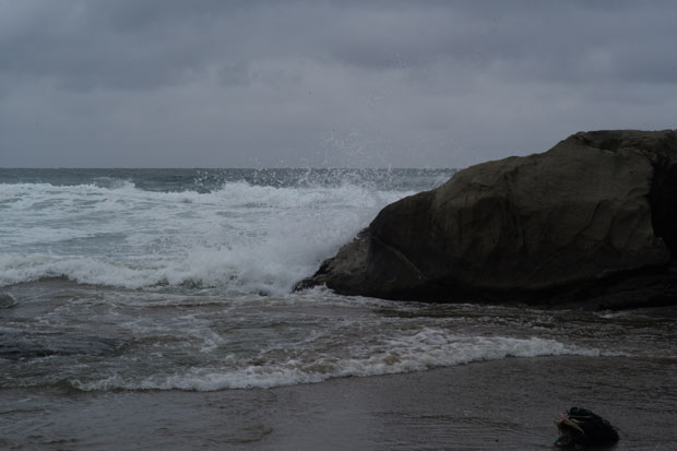L1002311.jpg