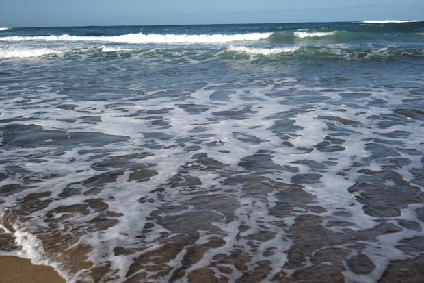 L1002313.jpg